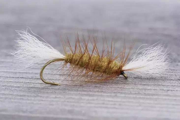 Pompero Light Olive - Andre laksefluer - 8859202531568 - 1