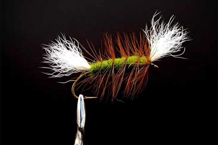 Pompero Olive Salmon Dry Fly - Andre laksefluer - 8859202530028 - 1