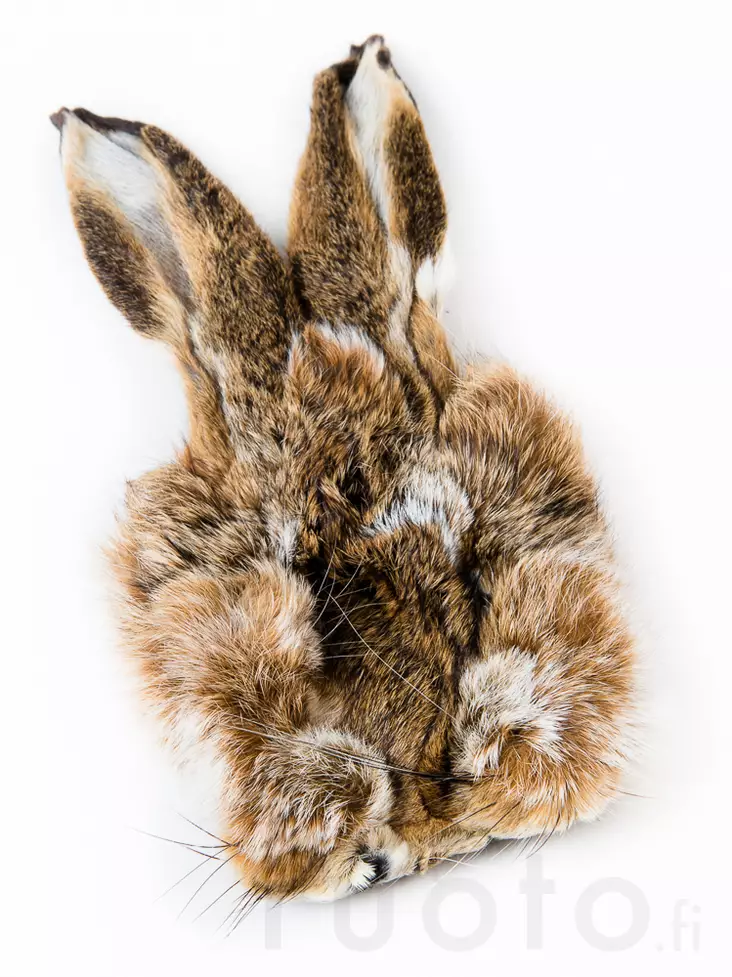 Veniard Hares Mask - Kroppshår - 053526085888 - 1