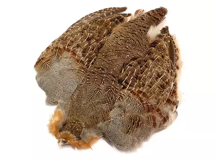 Hareline Grade 1 Hungarian Partridge Skin - Hud, vinger og hode - 762820008689 - 1