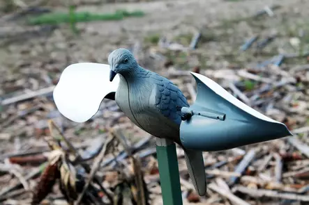 MOJO Wind Dove - Lokkende bilder / -diagram - 816740002019 - 2