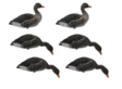 Final Approach Fullbody Flocked Greylag 6pcs - Lokkende bilder / -diagram - 728614298629 - 1