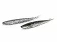 Lunker City Fin-S-Fish 17,5cm - Vertikaljigger - 340030999 - 3