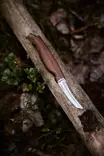 Marttiini Mushroom Knife Kerääjä - Kniv - 6416885425779 - 5
