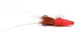 Red Frances Copper tube - Rørfluer - 7033840121379 - 2