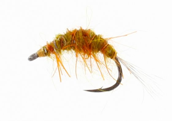 Gammarus UV Shrimp - Krepsereker - 5707549328019 - 1