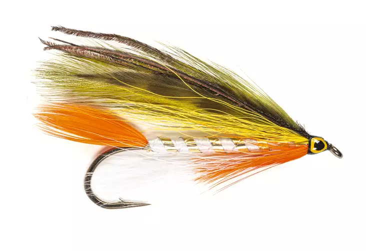 Golden Shiner Streamer - Streamere og igler - 8859202536099 - 1