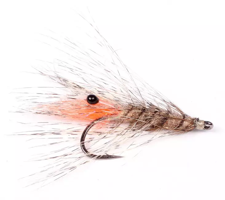 Laser Shrimp - Krepsereker - 7033840131439 - 2