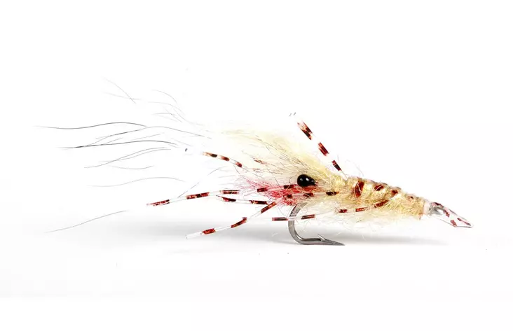 Leoshrimp Tan - Krepsereker - 7033840130319 - 1