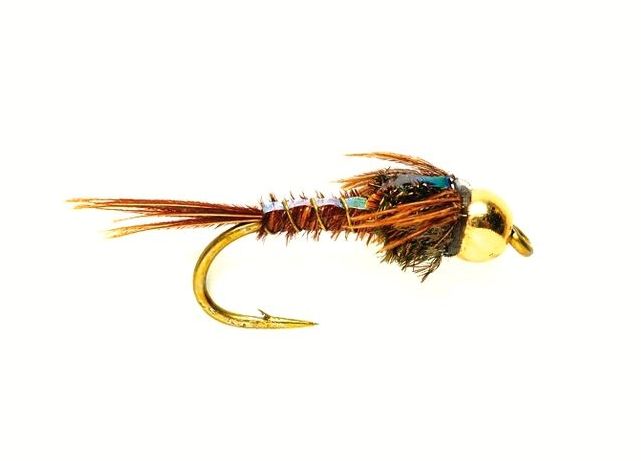 Pheasant Tail Flashback Beadhead - Våte fluer - 5054302022739 - 1
