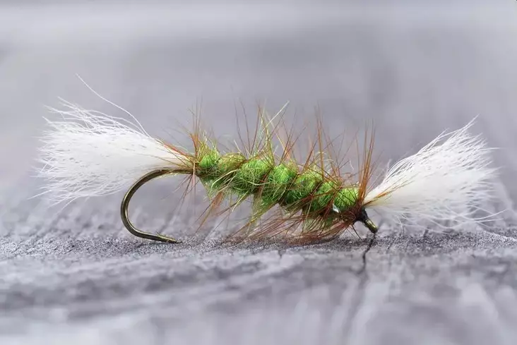 Pompero Highlander Green - Andre laksefluer - 8859202536259 - 1