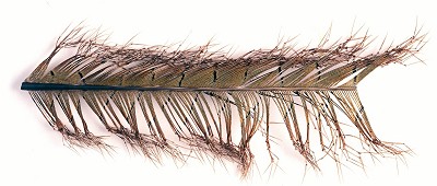Veniard Cock Pheasant Knotted Tail - Øvrige fjær - 40450300039 - 1