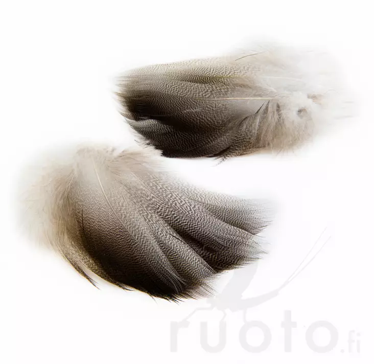 Wapsi Bronze Spey Mallard - Klassiske fjær - 053526048049 - 1