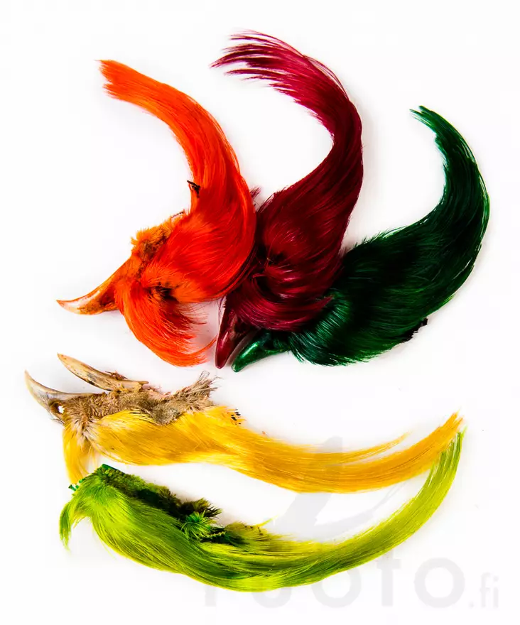 Wapsi Golden Pheasant Crest - Hud, vinger og hode - 404001000009 - 1