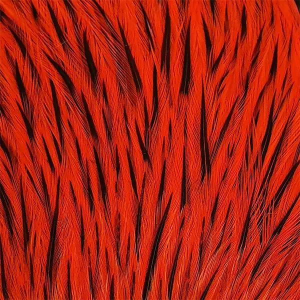 Whiting Freshwater Streamer Rooster Cape - Andre nakker og sadler - 40350200099 - 2