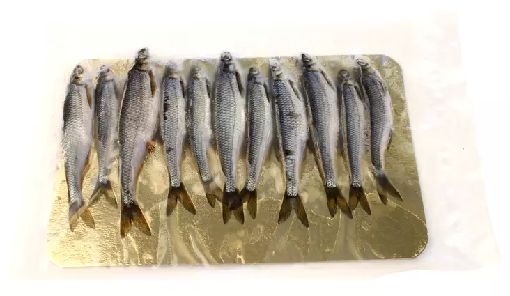 Salakka - Livsmat - SALAKKA - 1