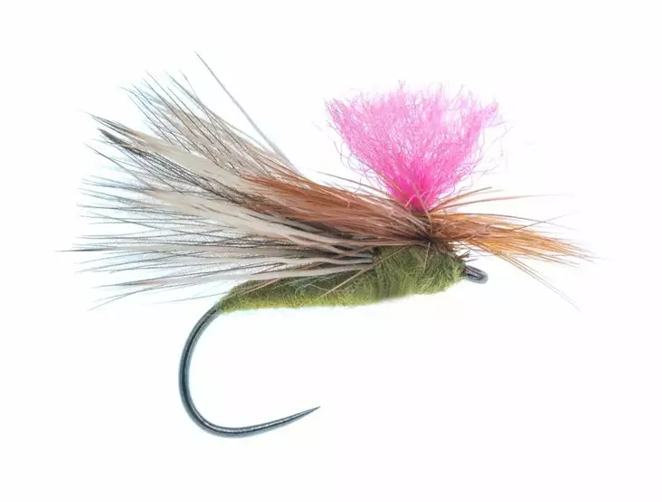 CDC Caddis Barbless Olive - Torrfluer - G1113BL-10O - 1